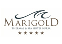 Marigold Thermal Spa Hotel